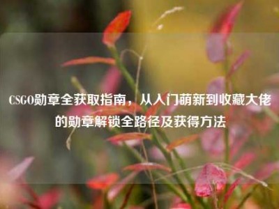 CSGO勋章全获取指南，从入门萌新到收藏大佬的勋章解锁全路径及获得方法