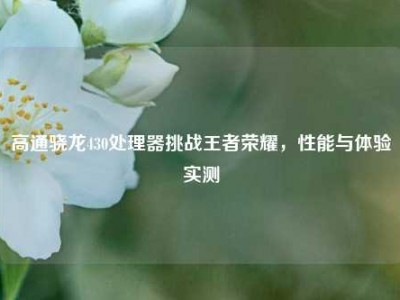 高通骁龙430处理器挑战王者荣耀，性能与体验实测