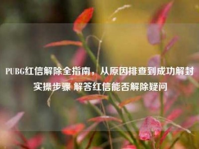 PUBG红信解除全指南，从原因排查到成功解封实操步骤 解答红信能否解除疑问