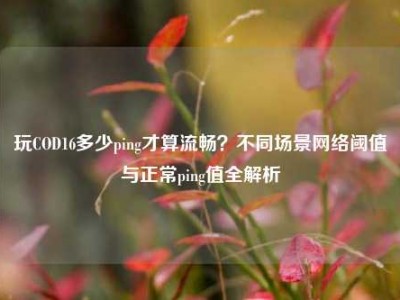 玩COD16多少ping才算流畅？不同场景网络阈值与正常ping值全解析