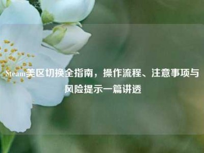 Steam美区切换全指南，操作流程、注意事项与风险提示一篇讲透