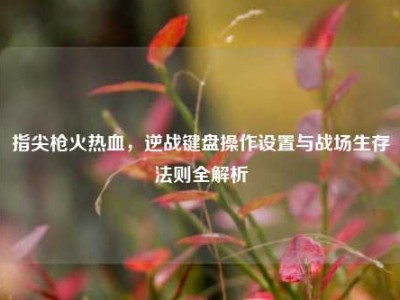 指尖枪火热血，逆战键盘操作设置与战场生存法则全解析