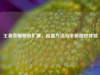 王者荣耀相机扩展，设置方法与全新视野体验
