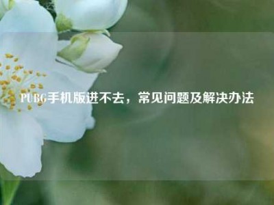 PUBG手机版进不去，常见问题及解决办法