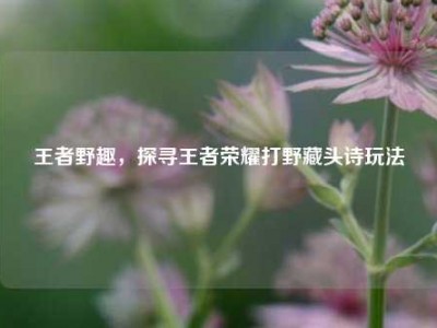王者野趣，探寻王者荣耀打野藏头诗玩法