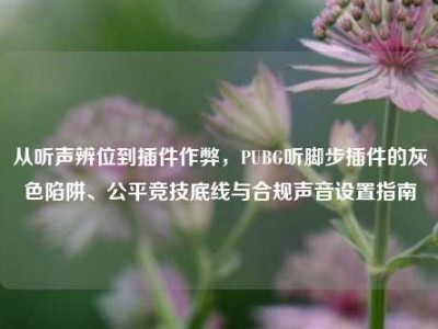从听声辨位到插件作弊，PUBG听脚步插件的灰色陷阱、公平竞技底线与合规声音设置指南