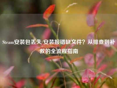 Steam安装包丢失/安装报错缺文件？从排查到补救的全流程指南