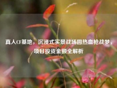 真人CF基地，沉浸式实景战场圆热血枪战梦，项目投资金额全解析