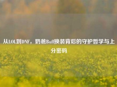 从LOL到DNF，奶爸Buff换装背后的守护哲学与上分密码