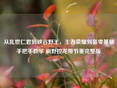 从乱世仁君到峡谷野王，王者荣耀刘备零基础手把手教学 刷野控龙带节奏完整版