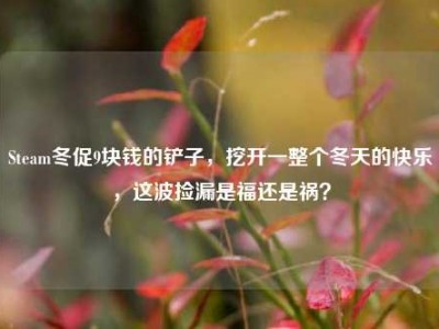 Steam冬促9块钱的铲子，挖开一整个冬天的快乐，这波捡漏是福还是祸？