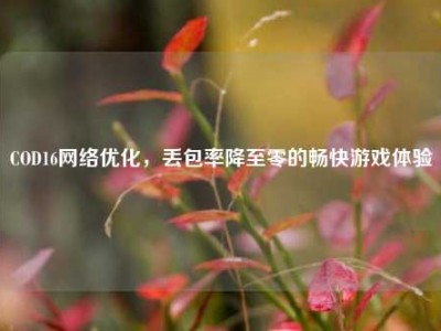 COD16网络优化，丢包率降至零的畅快游戏体验