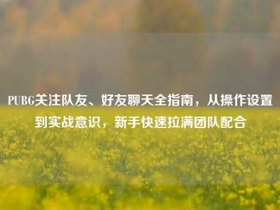 PUBG关注队友、好友聊天全指南，从操作设置到实战意识，新手快速拉满团队配合