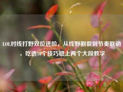 LOL对线打野双位进阶，从线野割裂到节奏联动，吃透10个技巧稳上两个大段教学