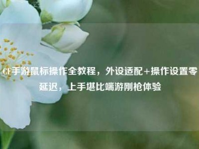 CF手游鼠标操作全教程，外设适配+操作设置零延迟，上手堪比端游刚枪体验