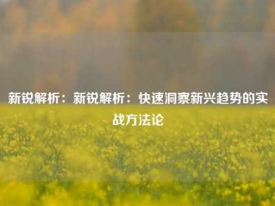 新锐解析：新锐解析：快速洞察新兴趋势的实战方法论