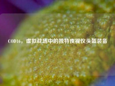 COD16，虚拟战场中的独特夜视仪头盔装备