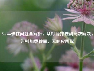 Steam卡住问题全解析，从根源排查到高效解决，告别加载转圈、无响应困扰
