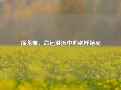 徐龙象，命运洪流中的别样结局
