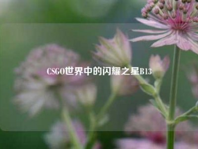 CSGO世界中的闪耀之星B13