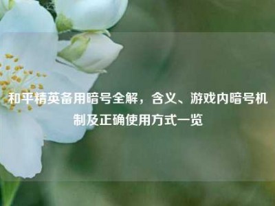 和平精英备用暗号全解，含义、游戏内暗号机制及正确使用方式一览