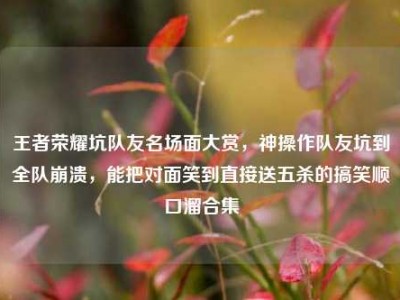 王者荣耀坑队友名场面大赏，神操作队友坑到全队崩溃，能把对面笑到直接送五杀的搞笑顺口溜合集