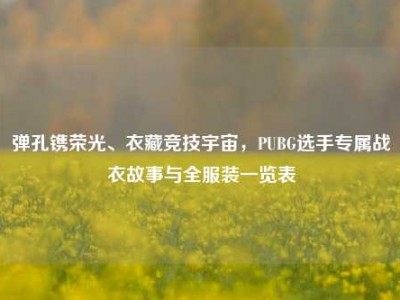 弹孔镌荣光、衣藏竞技宇宙，PUBG选手专属战衣故事与全服装一览表
