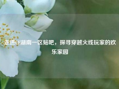 走进CF湖南一区贴吧，探寻穿越火线玩家的欢乐家园