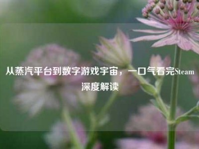 从蒸汽平台到数字游戏宇宙，一口气看完Steam深度解读