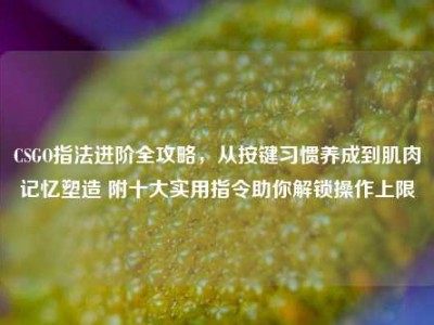 CSGO指法进阶全攻略，从按键习惯养成到肌肉记忆塑造 附十大实用指令助你解锁操作上限