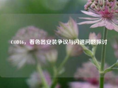 COD16，着色器安装争议与闪退问题探讨