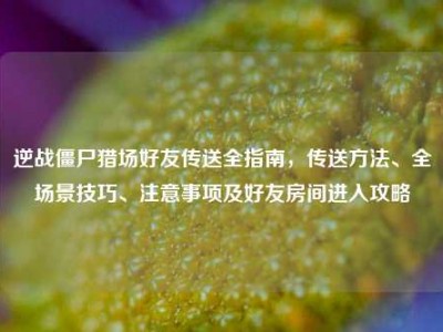 逆战僵尸猎场好友传送全指南，传送方法、全场景技巧、注意事项及好友房间进入攻略