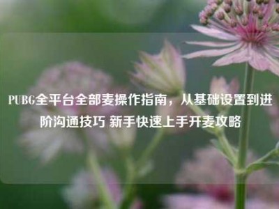 PUBG全平台全部麦操作指南，从基础设置到进阶沟通技巧 新手快速上手开麦攻略