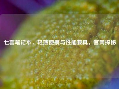 七喜笔记本，轻薄便携与性能兼具，官网探秘