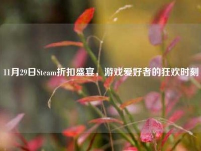 11月29日Steam折扣盛宴，游戏爱好者的狂欢时刻