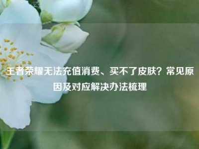 王者荣耀无法充值消费、买不了皮肤？常见原因及对应解决办法梳理