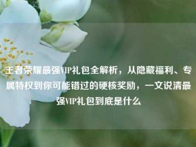 王者荣耀最强VIP礼包全解析，从隐藏福利、专属特权到你可能错过的硬核奖励，一文说清最强VIP礼包到底是什么