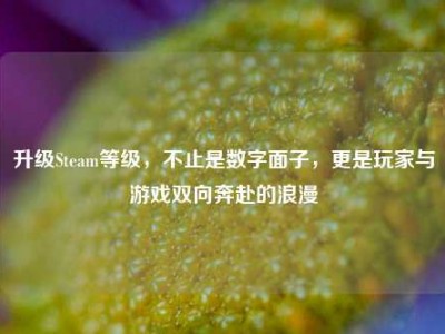 升级Steam等级，不止是数字面子，更是玩家与游戏双向奔赴的浪漫