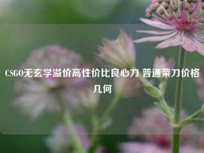 CSGO无玄学溢价高性价比良心刀 普通菜刀价格几何