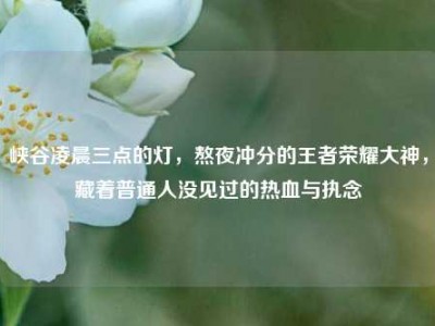 峡谷凌晨三点的灯，熬夜冲分的王者荣耀大神，藏着普通人没见过的热血与执念
