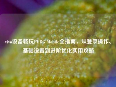 vivo设备畅玩PUBG Mobile全指南，从登录操作、基础设置到进阶优化实用攻略