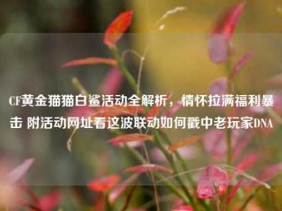 CF黄金猫猫白鲨活动全解析，情怀拉满福利暴击 附活动网址看这波联动如何戳中老玩家DNA