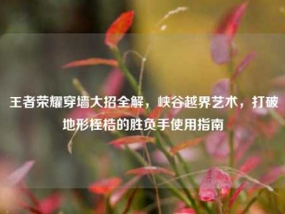 王者荣耀穿墙大招全解，峡谷越界艺术，打破地形桎梏的胜负手使用指南