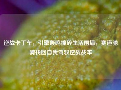 逆战卡丁车，引擎轰鸣撞碎生活围墙，赛道驰骋找回自我驾驭逆战战车