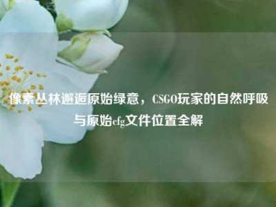 像素丛林邂逅原始绿意，CSGO玩家的自然呼吸与原始cfg文件位置全解