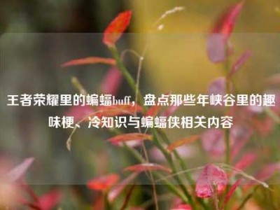王者荣耀里的蝙蝠buff，盘点那些年峡谷里的趣味梗、冷知识与蝙蝠侠相关内容