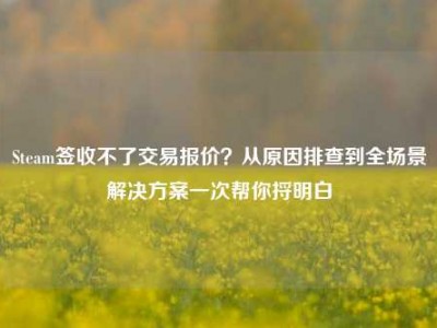 Steam签收不了交易报价？从原因排查到全场景解决方案一次帮你捋明白
