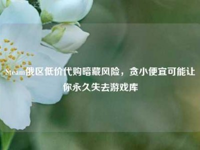 Steam俄区低价代购暗藏风险，贪小便宜可能让你永久失去游戏库