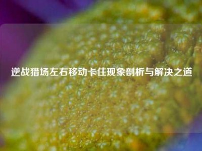 逆战猎场左右移动卡住现象剖析与解决之道
