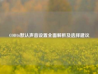 COD16默认声音设置全面解析及选择建议